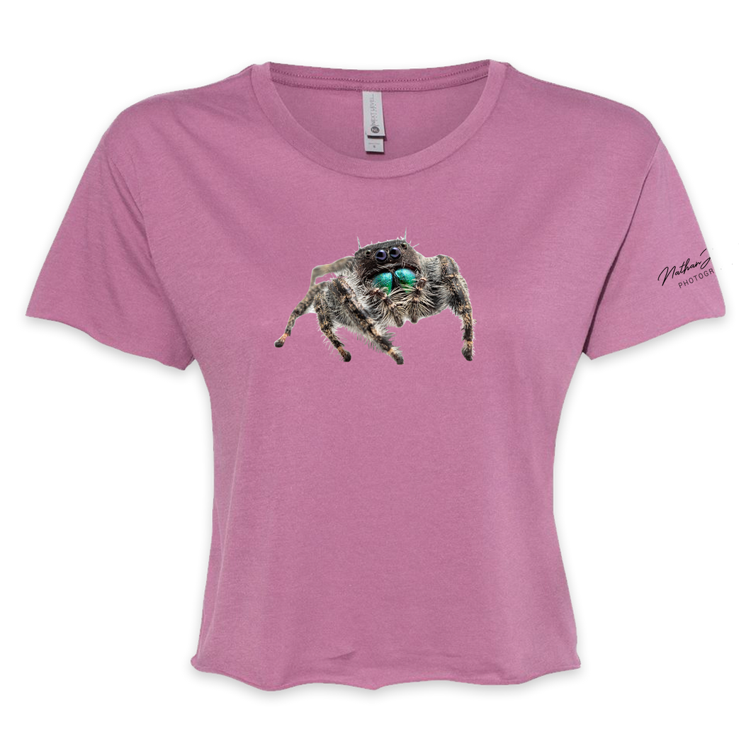 Jump Spider Cropped Tee