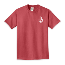 Load image into Gallery viewer, DTS - Comfort Colors Tshirt
