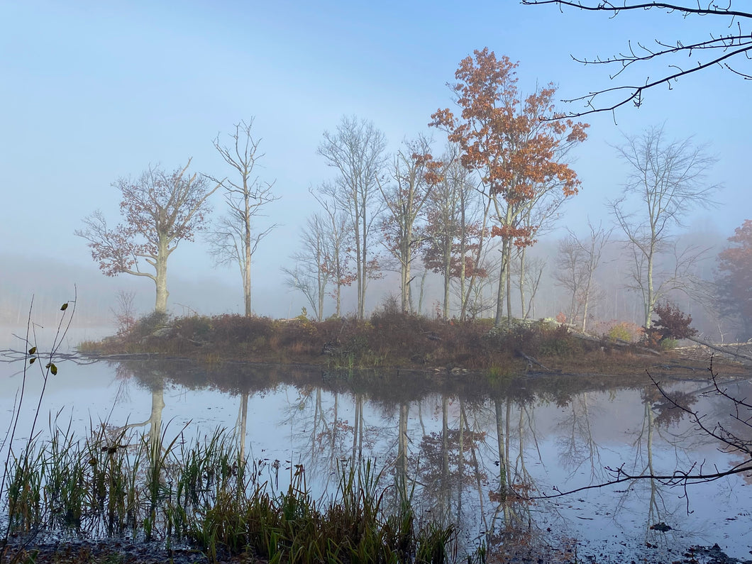 Photo Print - Teatown Lake on a Foggy Morning