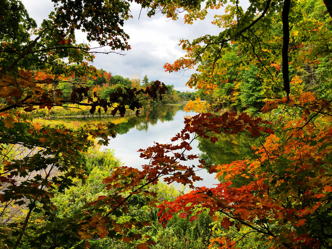 Photo Print - Bebe Lake Fall Colors