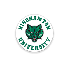 Load image into Gallery viewer, Binghamton University Care Package #2!
