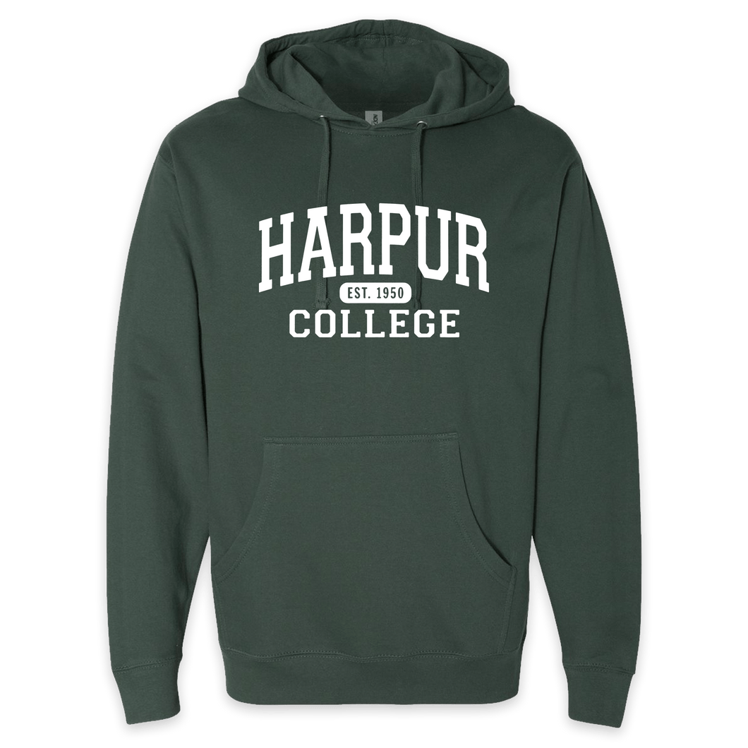 Harpur College Nostalgia Hoodie in Green